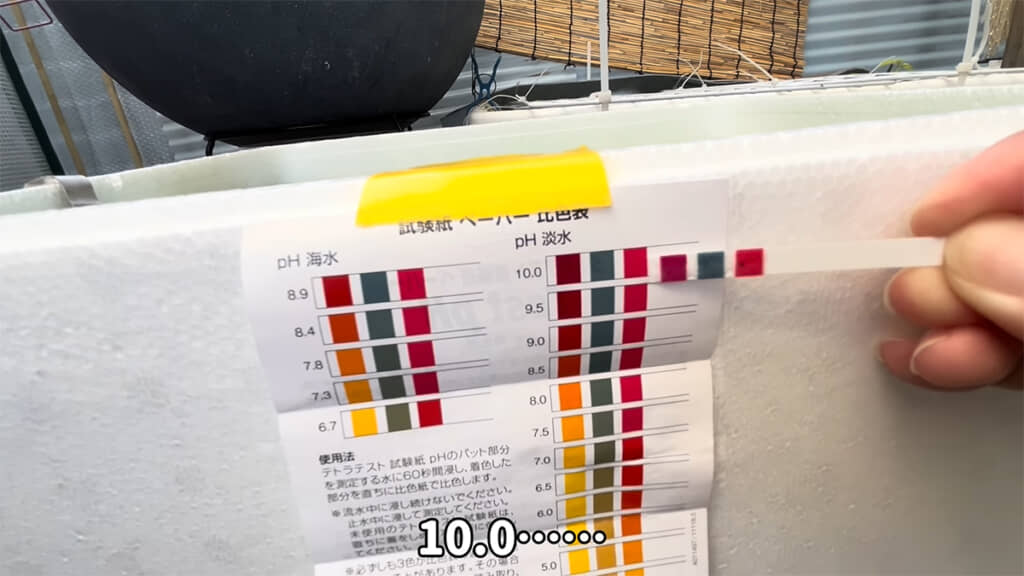 容器の水は強いアルカリ性になっていました