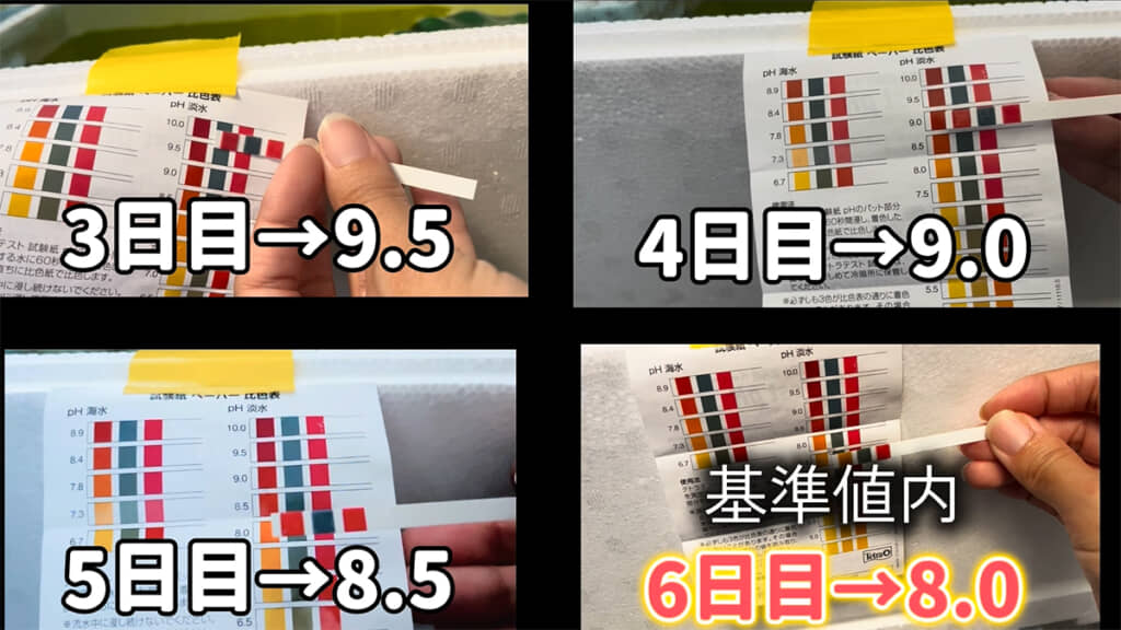 pHは少しずつ下がり、6日目には基準値内に
