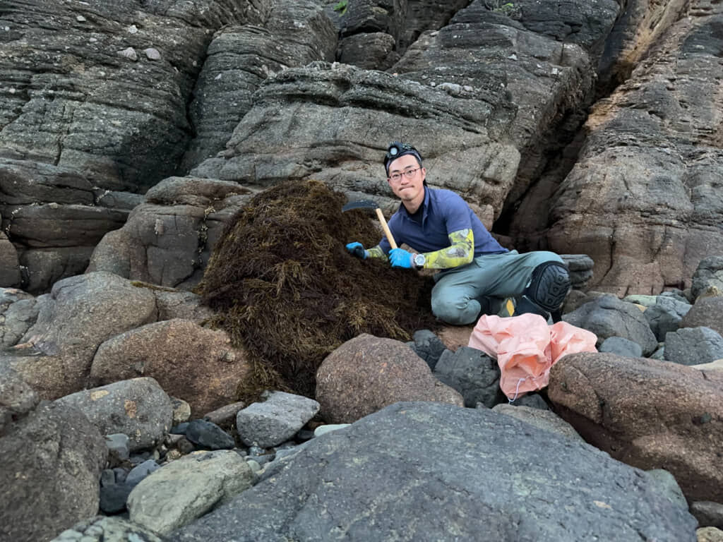 金融機関勤めからひじき漁師へ転職したさかえるさん