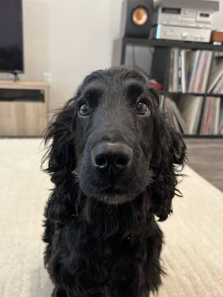 普段のおちょちゃん