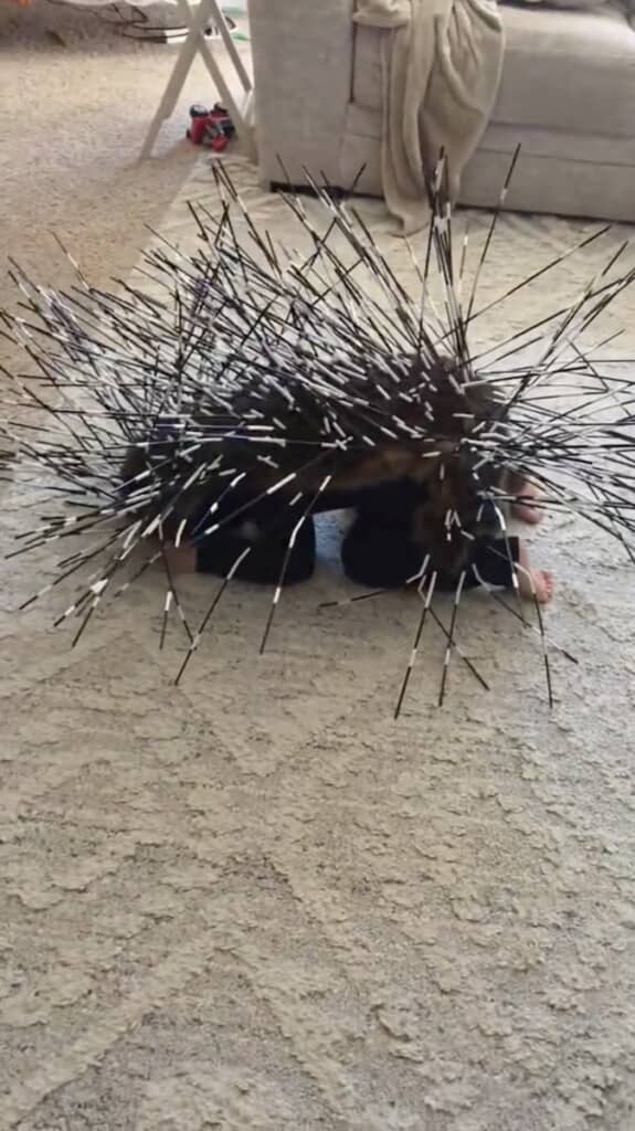 まるで大きなハリネズミ！