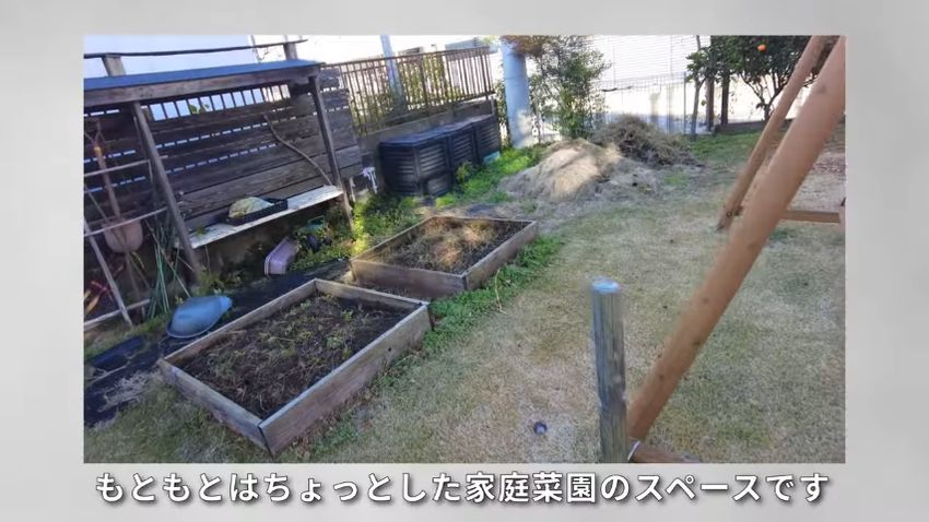 ヤブガラシに覆われた庭を一掃したら…… 「モリゾーがいる」目の前に