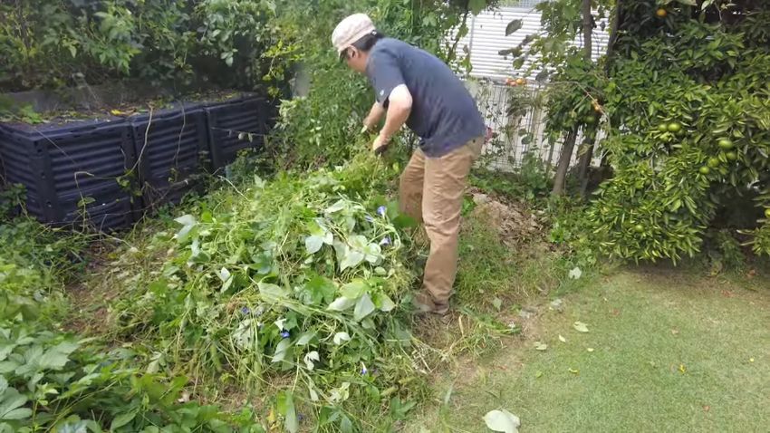 大量の草をどんどん引き抜いていく様子