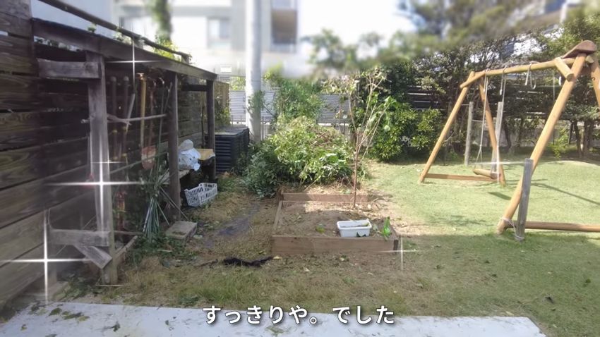 ヤブガラシに覆われた庭を一掃したら…… 「モリゾーがいる」目の前に