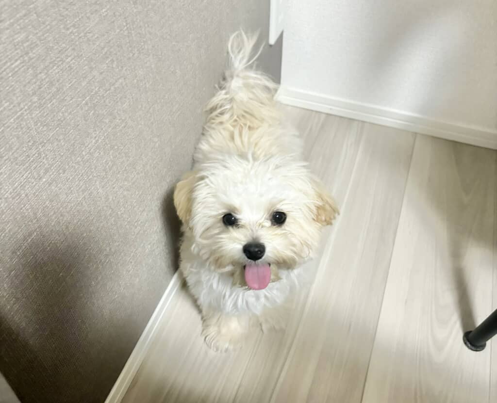 なんか眉毛あるね？