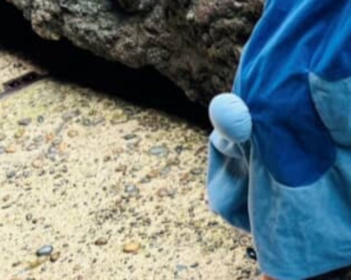 ディズニーで「本物ですか？」と驚かれた女の子→脳がバグる“衝撃の姿”に「やばいww」「これは優勝」「ずっと見ていたい」（1/3） | ディズニー ねとらぼ