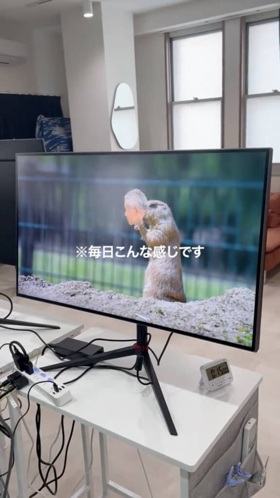 プレーリードッグ!?