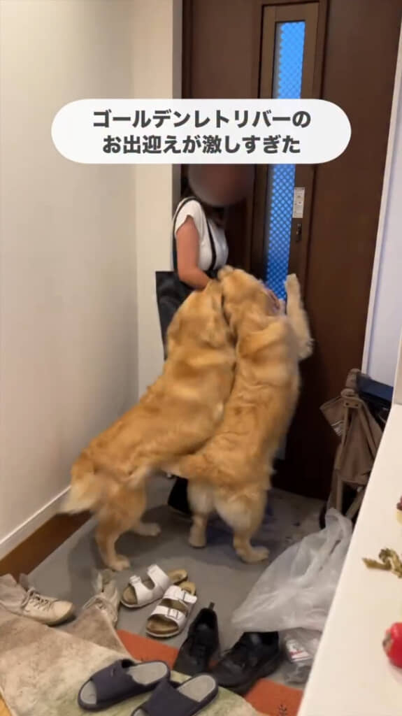 お出迎えするちあちゃんとひまわりちゃん