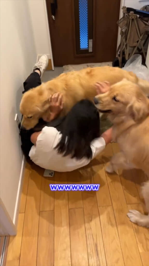 やまない大歓迎に立ち上がれません