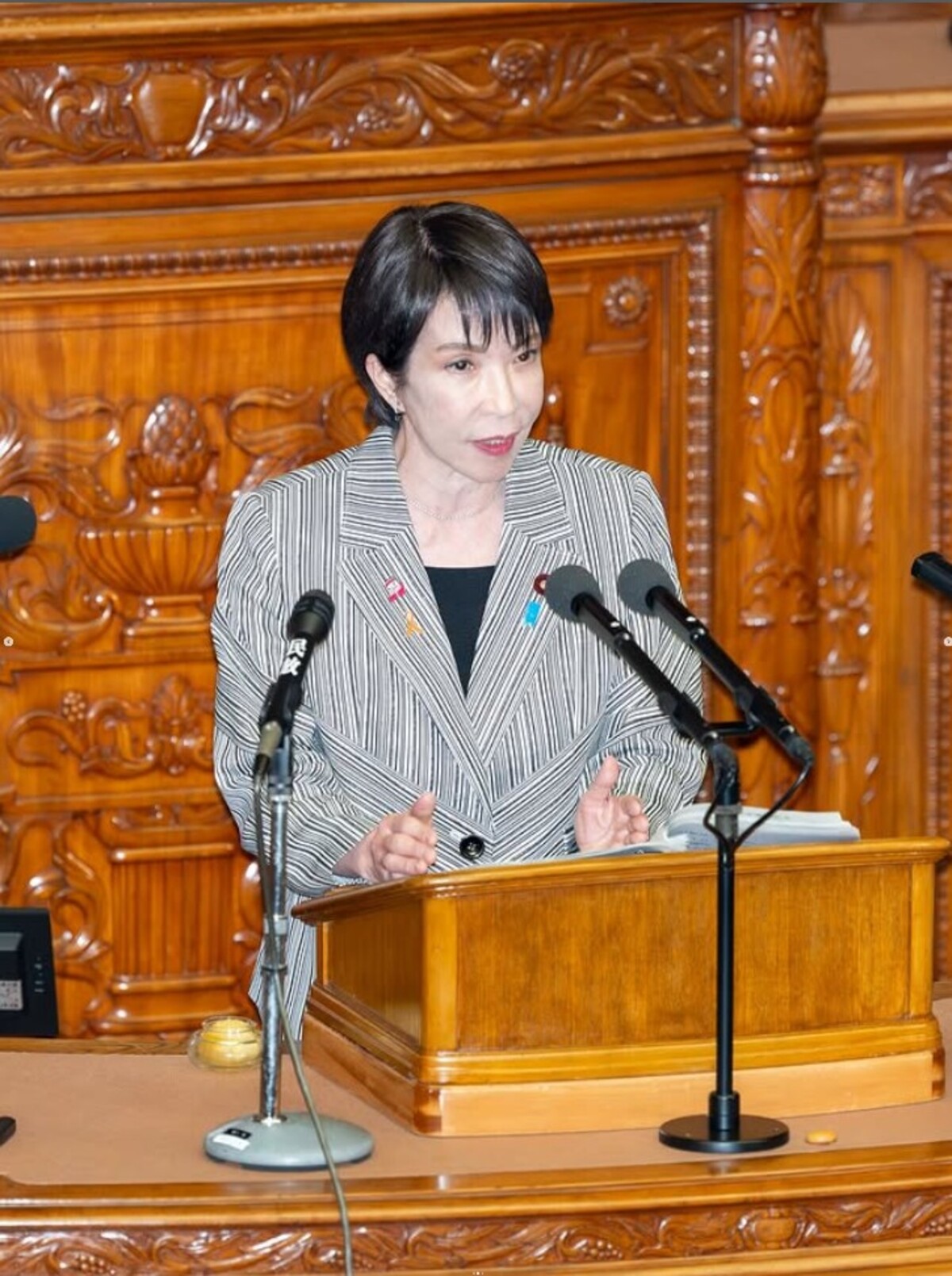 国会での高市早苗首相の襟元→よく見ると……　「なんだろうと思ってた」まさかの正体に「コレだったのね」（1/4） | 政治 ねとらぼ