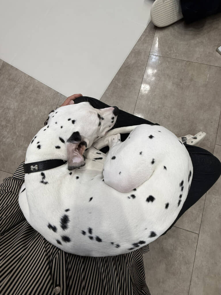 初対面とは思えない距離感