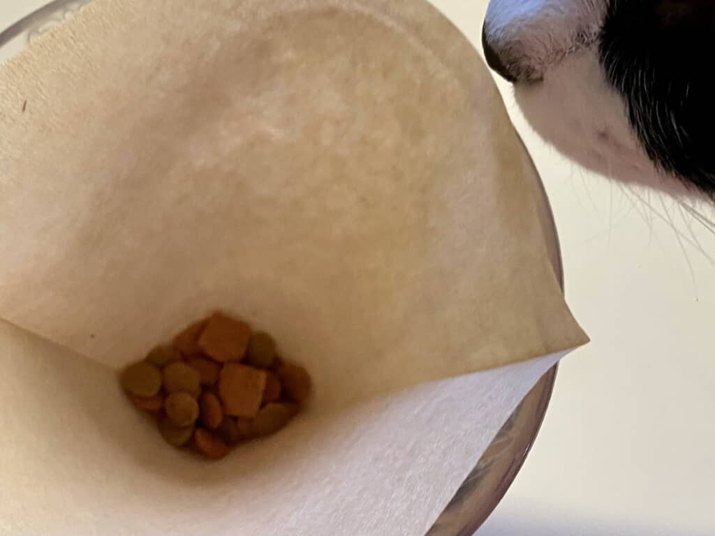 猫ちゃんも寄ってきました