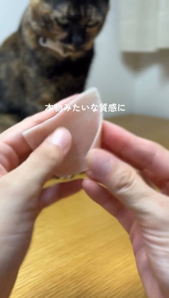 しっとりとやわらかな猫耳に（コロちゃんが見守ってます）