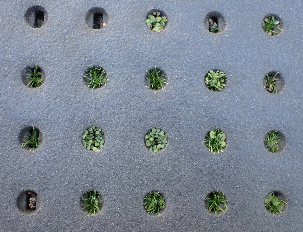 草のマンションになってる！