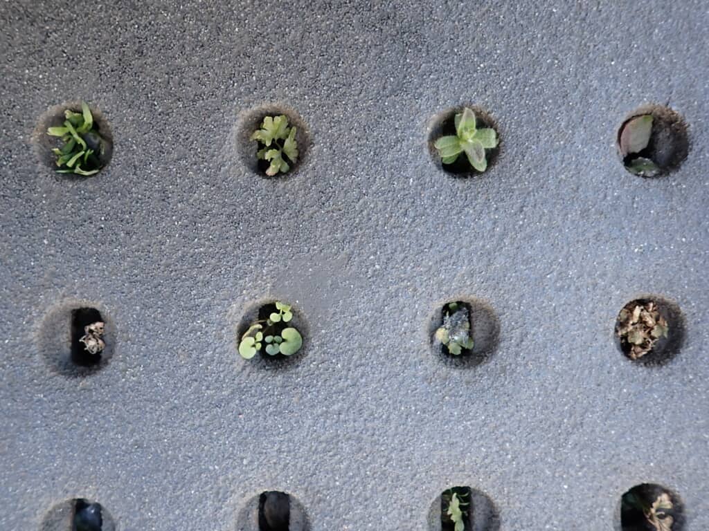 よく見てみると違う種類のお部屋に