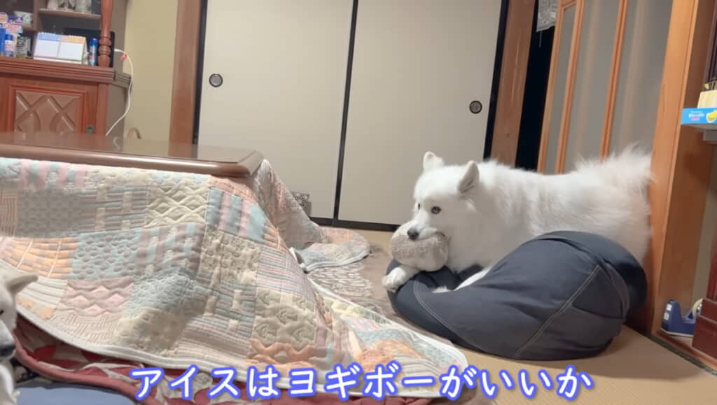 アイスちゃんは相変わらずヨギボーに