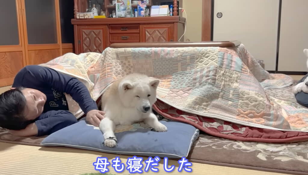 家族でゆったりできるのもコタツの魅力