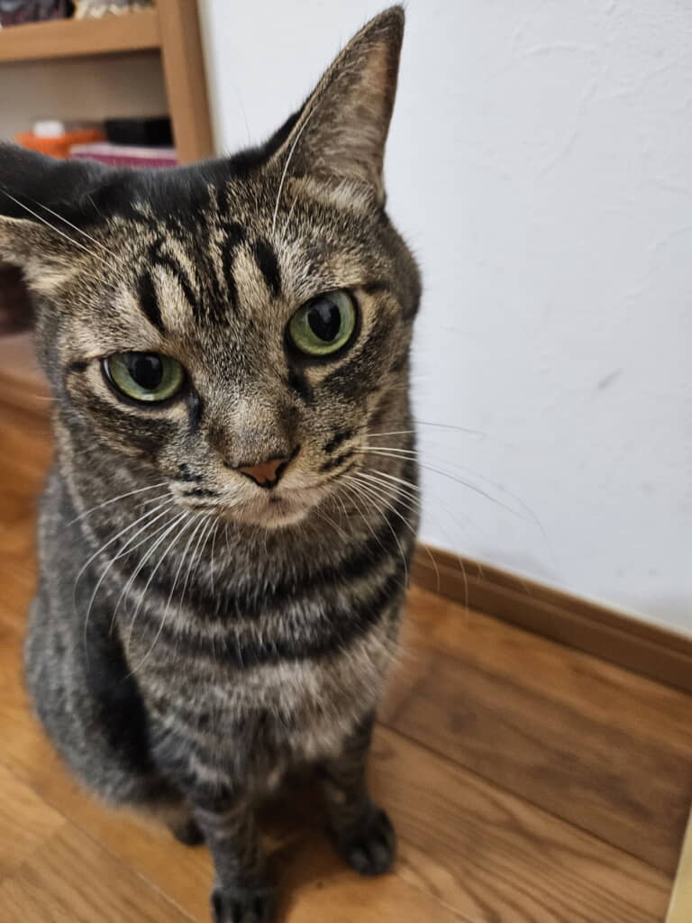 「ぼくのおでこに何か？」って言ってそう