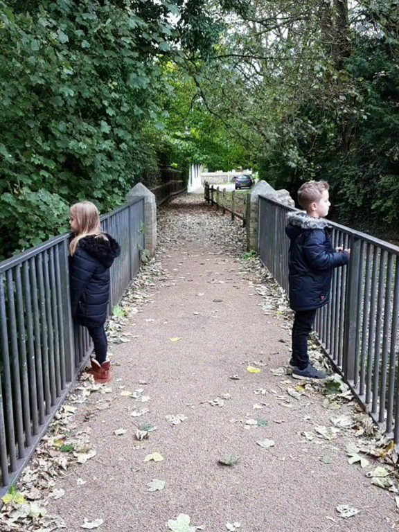 大きくなってきた