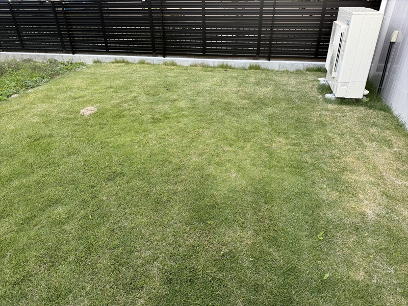 庭の芝生の突然出現した謎の穴