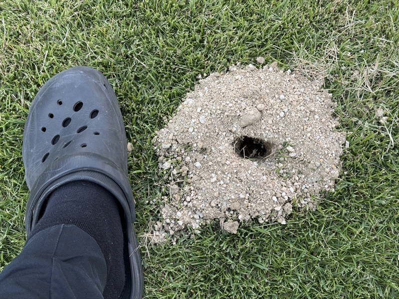 庭の芝生の突然出現した謎の穴