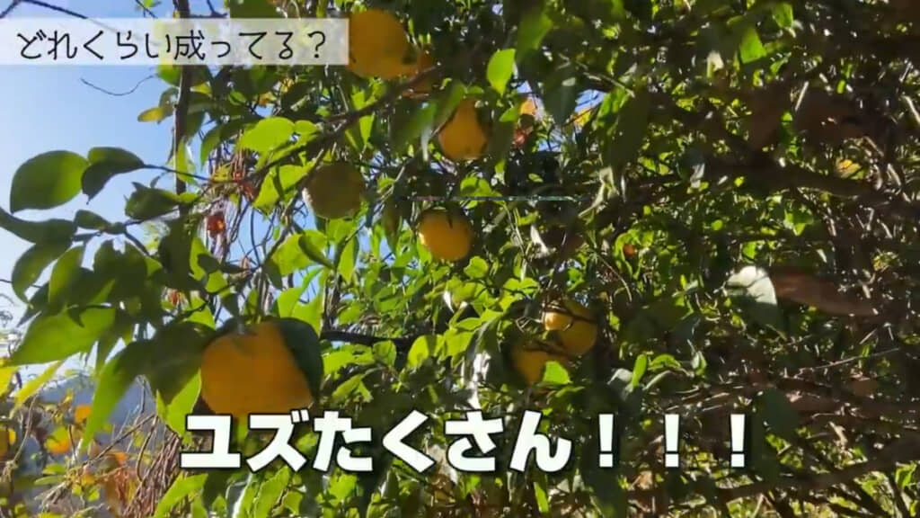 こちらはうれしい光景が