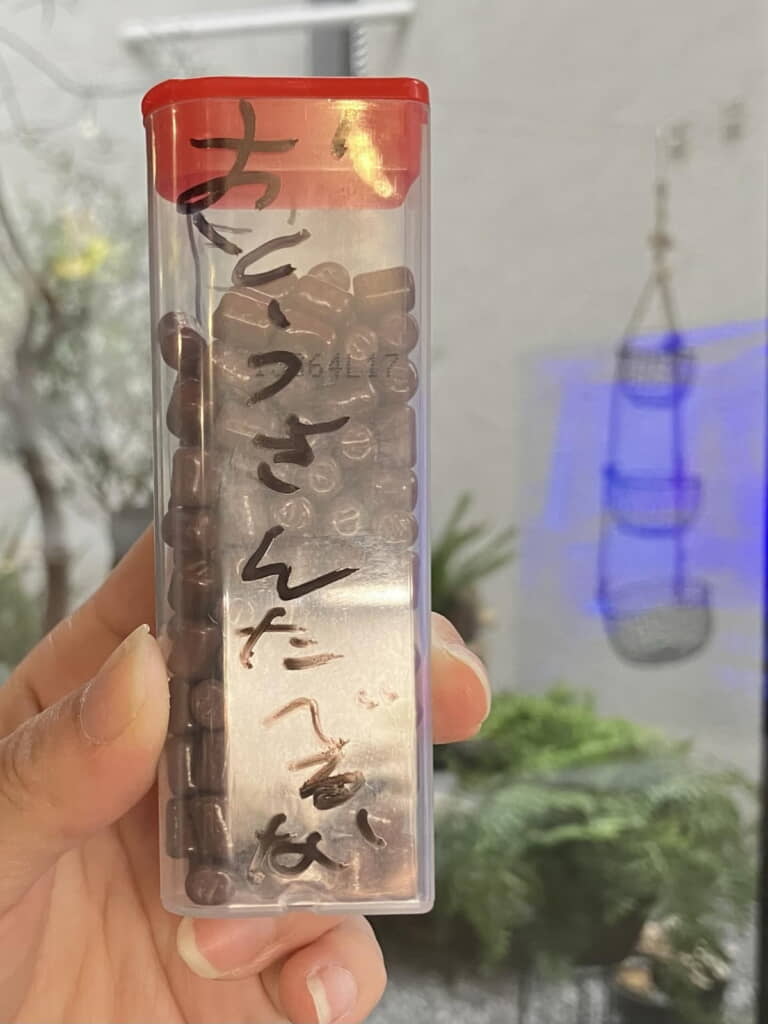 しかし人を間違えてしまった……！