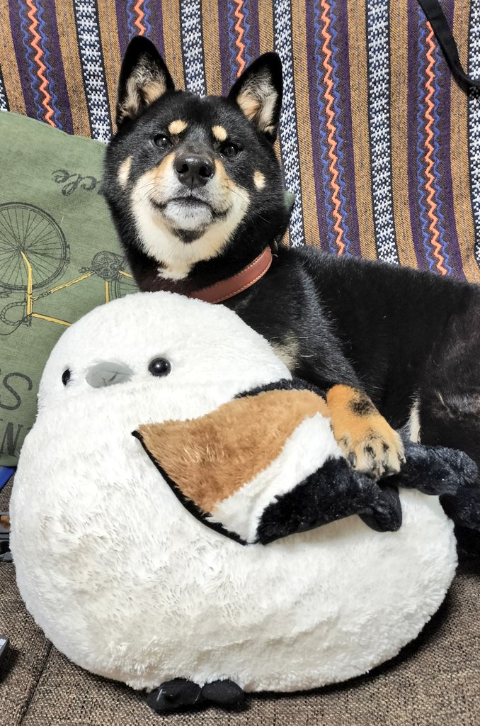 仲良しコンビ！