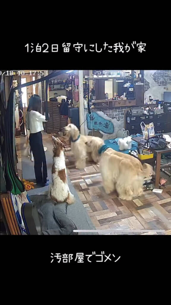 長女に留守を任せた日、ペットカメラに映っていたのは……