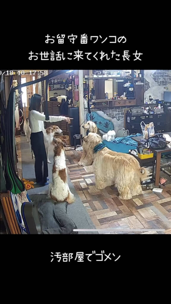 指示を受けた子がきれいにおすわり！