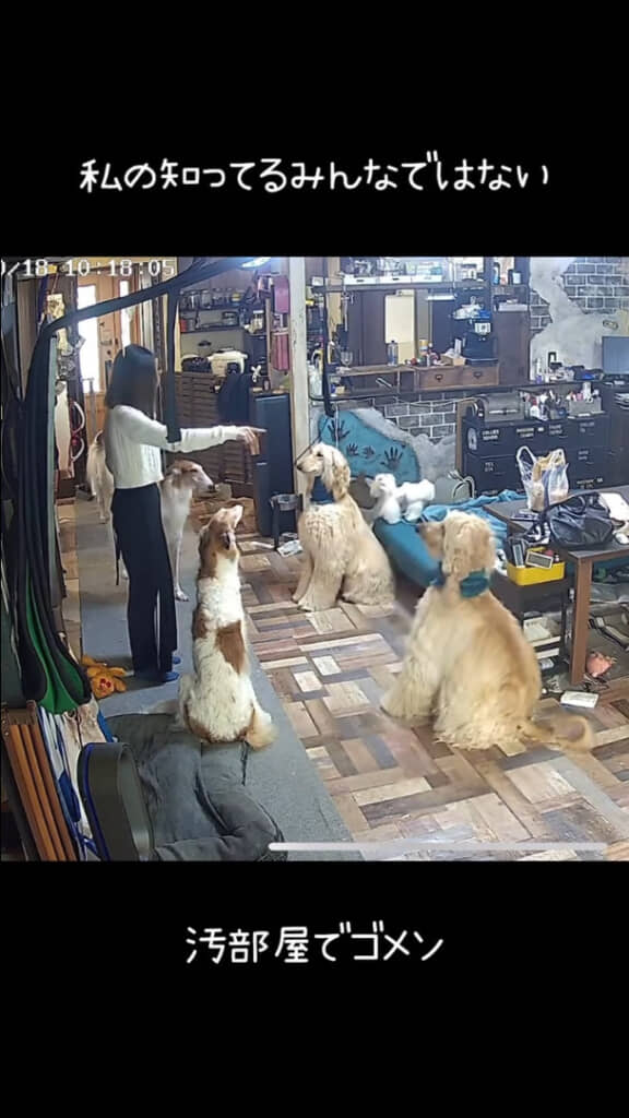 次々と座らせていく……！