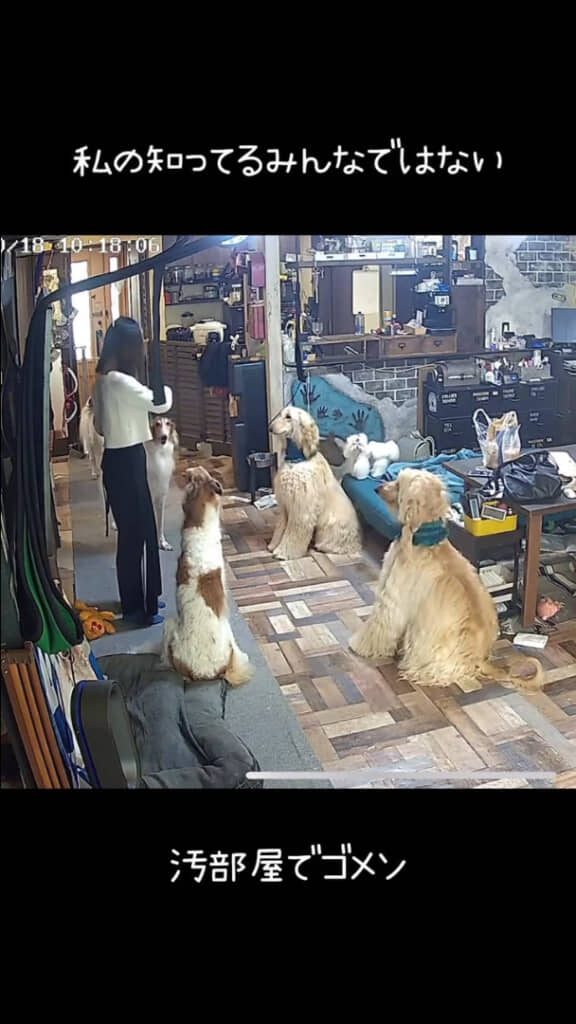 最後は画像奥にいるワンちゃんにも