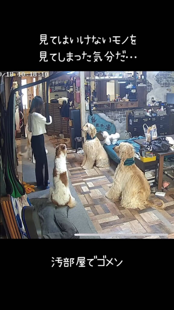 みんなきれいに座った……！