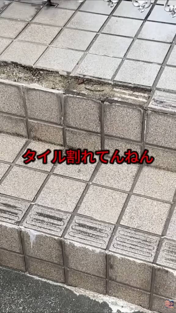 タイルが割れている隣家の玄関前の階段