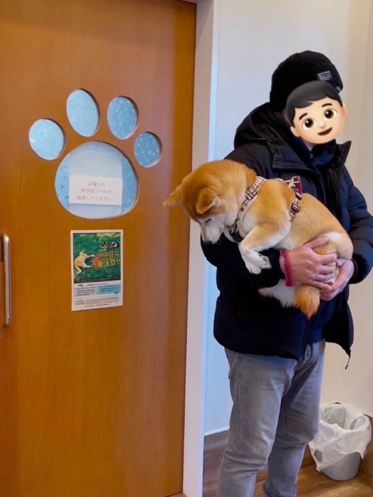 次に呼ばれるももちゃん