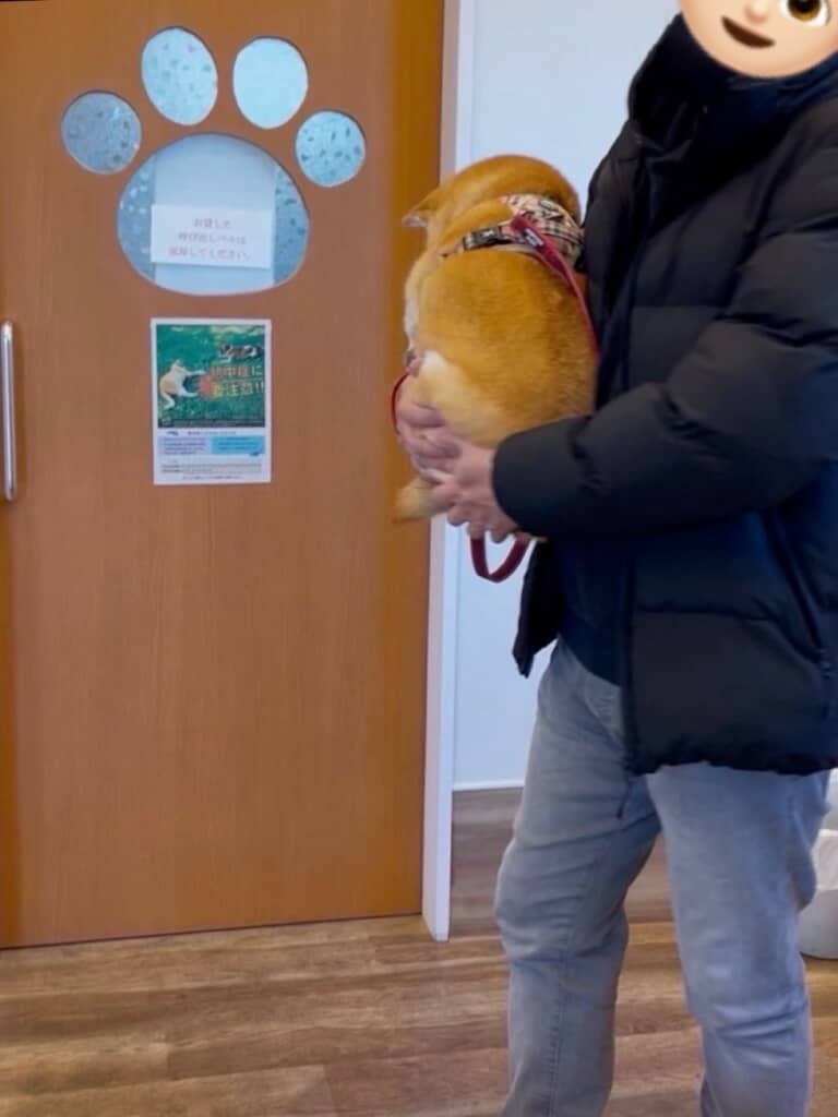 よっぽど怖い目にあったんですね