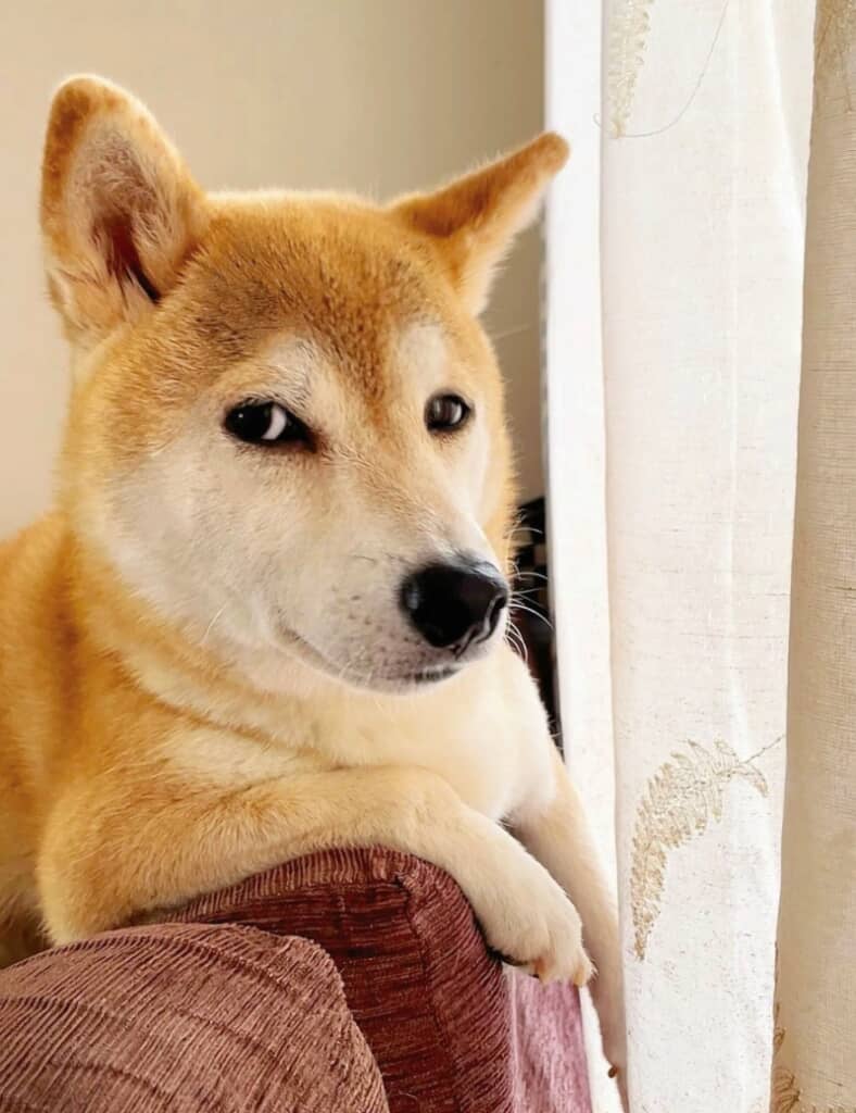 なんともいえない表情