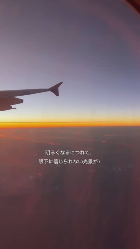 明るくなってくると……？