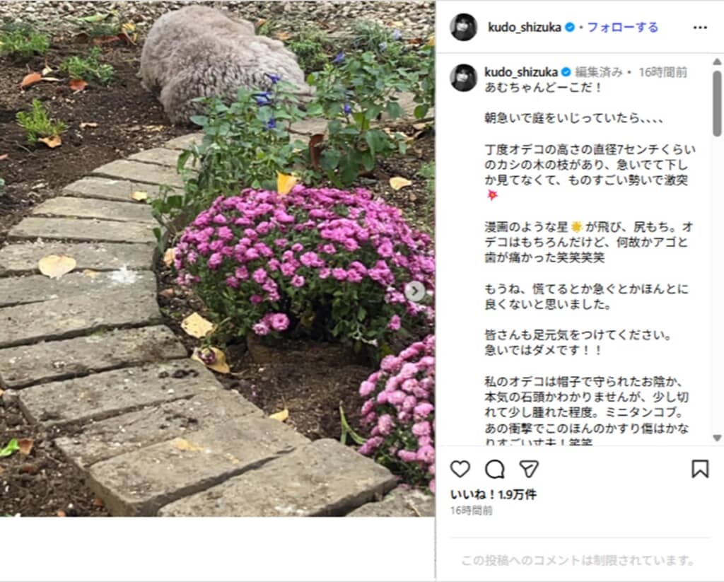 花が咲く工藤さん宅の庭