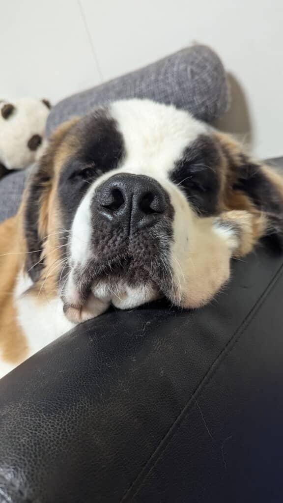 おうちでくつろぐつとむくん