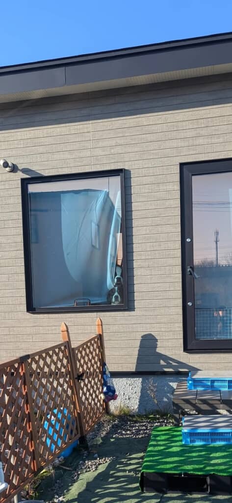 家に帰ってきて、窓から室内を見ると……？