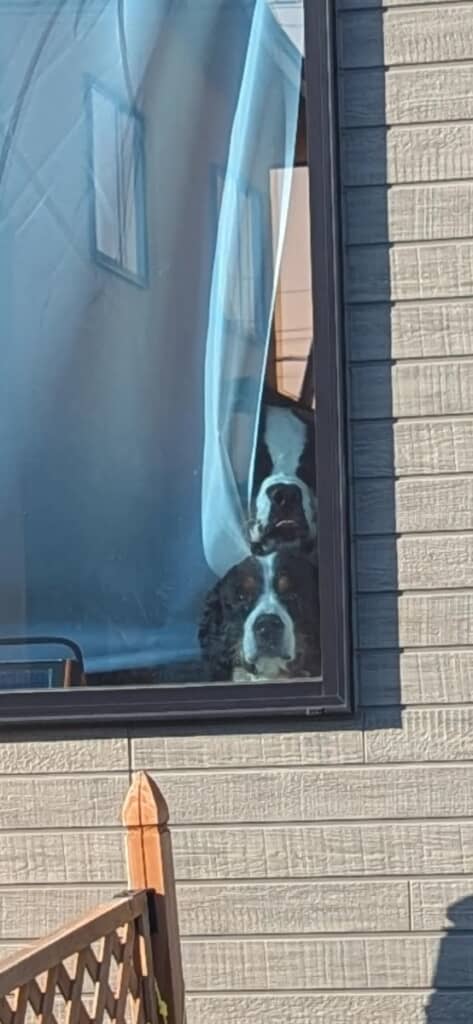 まさおくん＆つとむくんがスタンバイ！