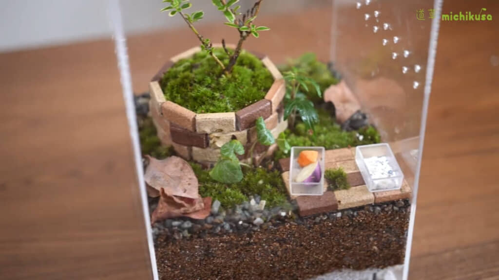 カタツムリのために落ち葉を入れた様子