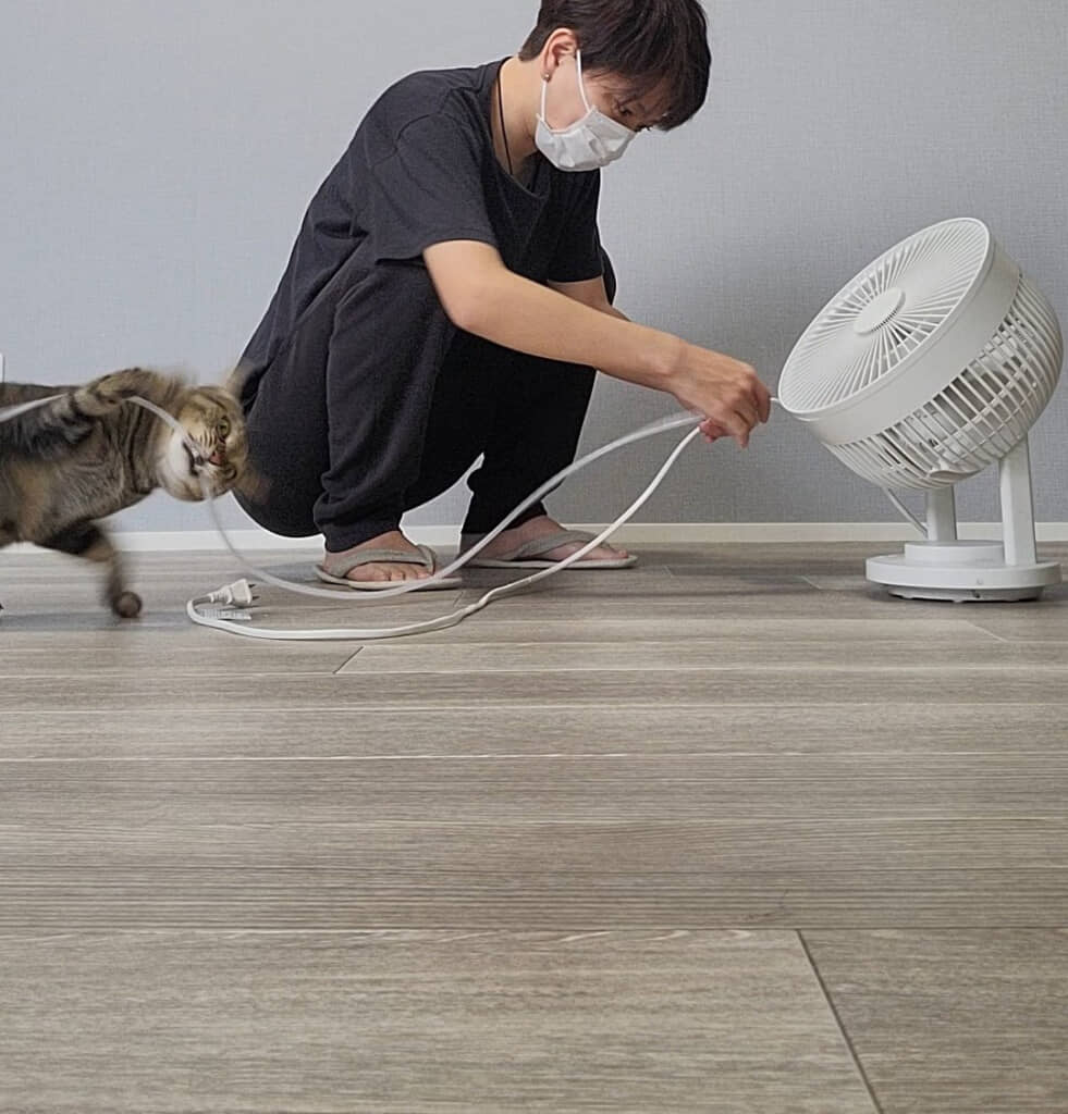 取り付け中の時点でかじってる……！