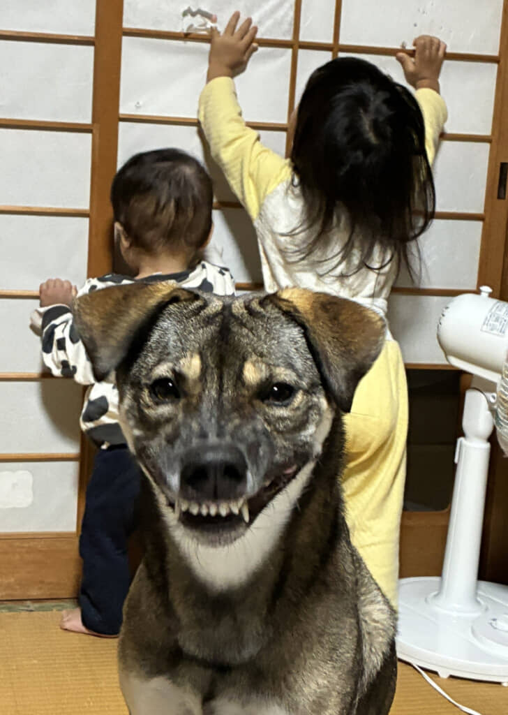 いざ撮ってみたら、地獄の番犬みたい……！
