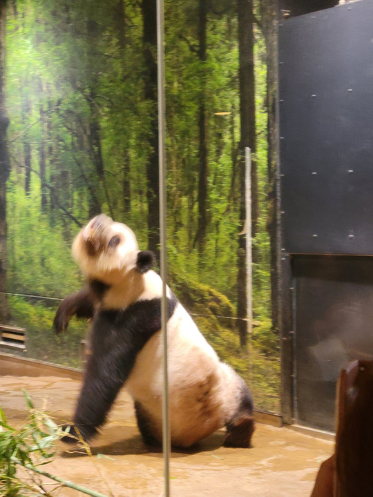 平日美術館さんが同日に撮影したレイレイ