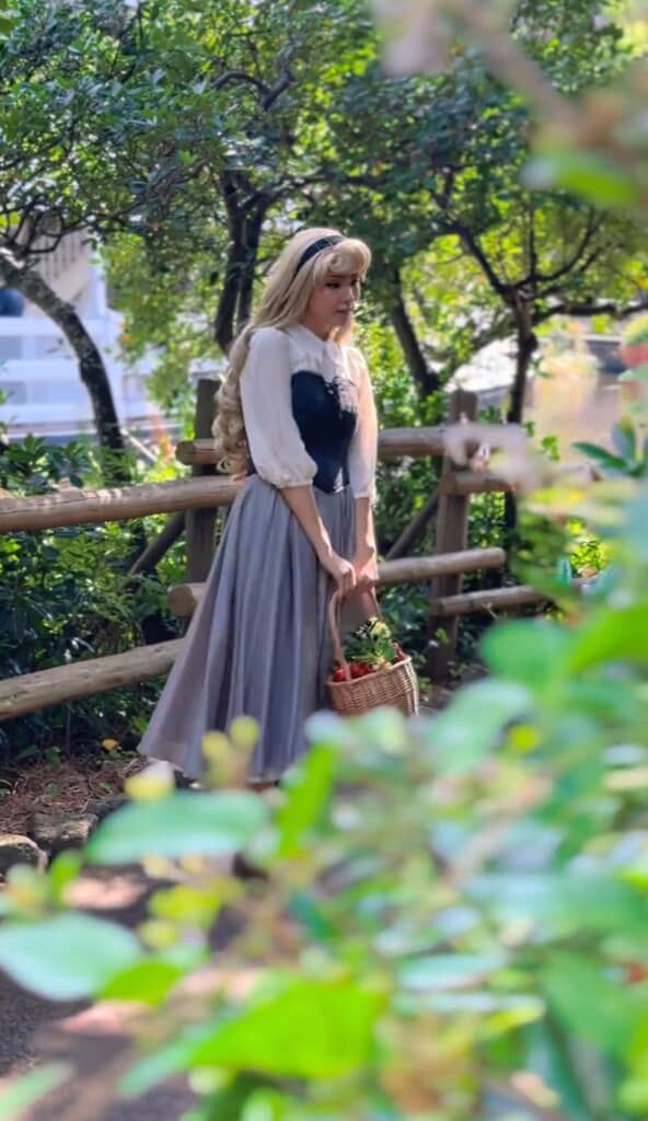 『眠れる森の美女』のオーロラ姫