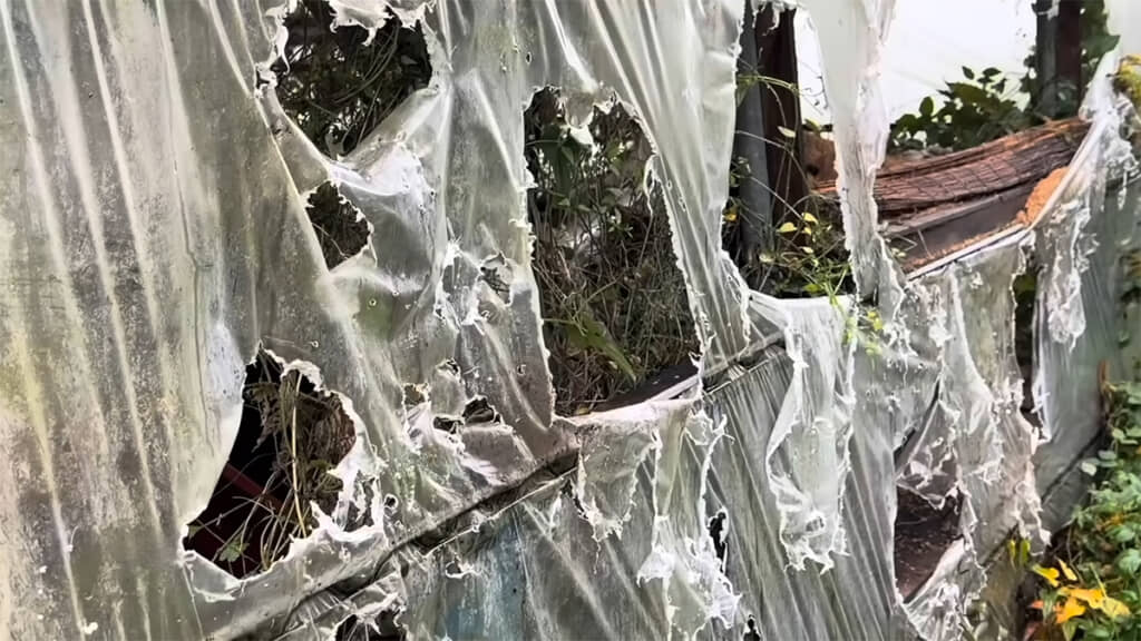 穴を開けた犯人はクマなのだとか