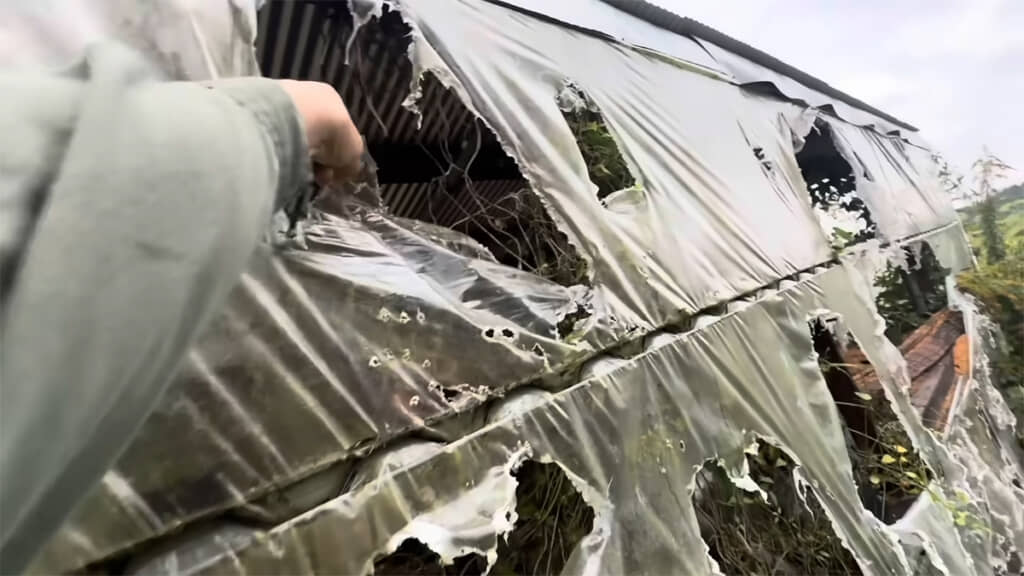 かなり高い位置まで手が届くことがわかります