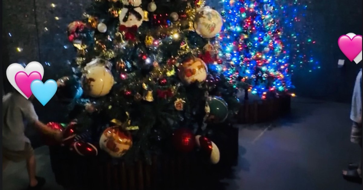 いじり倒す弟」 浜崎あゆみ、巨大クリスマスツリー登場で息子たちの